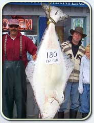 A winter's worth of fresh halibut!